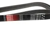 Ремінь генератора MB M-class (W163) 4.0 CDI 01-05 OM628/Jeep Grand Cherokee 5.2i 92-99 Gates 7PK2275 (фото 2)