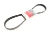 Ремінь генератора Mazda 3/5/6 2.0 DI/CD 02-10 Gates 8PK1225 (фото 1)