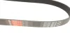 Ремінь генератора Mazda 3/5/6 2.0 DI/CD 02-10 Gates 8PK1225 (фото 3)