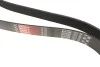 Ремінь генератора Jeep Grand Cherokee II 3.1TD 99-01 Gates 8PK2485 (фото 3)