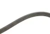 Комплект ременя генератора Renault Kangoo 1.4i/1.6i 97- Gates K015PK1113 (фото 4)