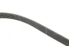 Комплект ременя генератора Renault Megane/Scenic 1.4/1.6 00-09 (5PK1750) Gates K015PK1750 (фото 3)
