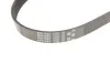 Комплект ременя генератора VW Caddy/Golf/Passat/Skoda Octavia/Superb 1.9/2.0TDI 04-11 Gates K016PK1053 (фото 3)