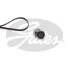 Комплект ременя генератора Renault Clio/Kangoo/Megane/Scenic 1.5dCi 01- (6PK1198) Gates K016PK1198 (фото 2)