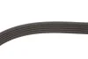Комплект ременя генератора Renault Clio/Kangoo/Megane/Scenic 1.5dCi 01- (6PK1198) Gates K016PK1198 (фото 7)