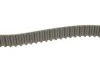 Комплект ГРМ Hyundai Tucson/Elantra/Kia Cee\'d 2.0 00- (25.5x113z) Gates K025457XS (фото 3)
