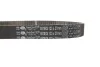 Комплект ГРМ Renault Clio/Kangoo/Megane/Dacia Dokker/Duster /Logan1.5dCi 01- (27x123z) Gates K025578XS (фото 3)