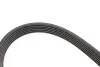 Комплект ременя генератора Skoda Octavia/VW Golf IV 1.4/1.6 16V 96-10 (6PK1548) Gates K026PK1548 (фото 4)