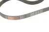 Комплект ременя генератора Citroen Berlingo/Peugeot Partner 1.6 HDi 08- (6PK975) Gates K026PK975 (фото 8)