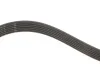 Комплект ременя генератора Audi A2/Seat Ibiza/Skoda Fabia/VW Golf/Polo 1.4/1.6/1.6FSI 97-15 (6PK1078) Gates K036PK1078 (фото 5)