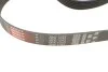 Комплект ременя генератора Audi A3/Seat Leon/Skoda Octavia/VW Caddy/Passat B6 1.6-2.0 03- Gates K046PK1043 (фото 2)