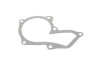 Комплект ГРМ + помпа Ford C-Max/Fiesta/Focus/Mondeo/Mazda 3 1.2-1.6 07-12 (22x117z) Gates KP15669XS (фото 13)