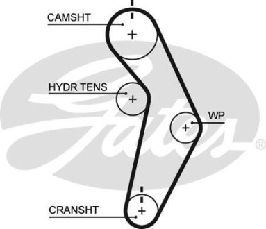 Ремень ГРМ Gates T245