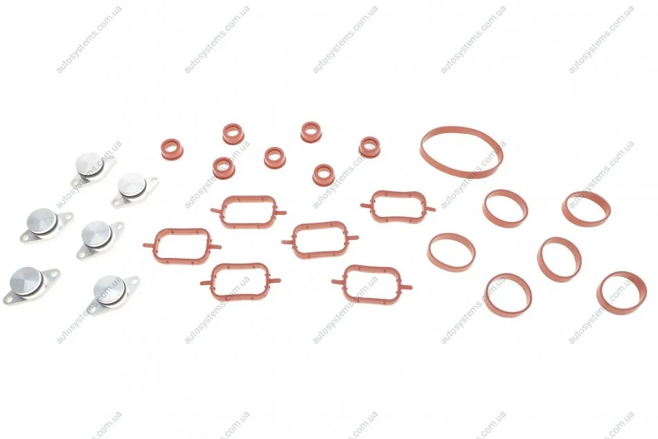Ремкомплект колектора впускного BMW 3 (E46/E90)/5 (E39/E60)/X5 (E53/E70) 3.0d (M47) 98-11 GAZO GZ-A2136 (фото 1)