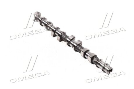 Вал распределительный GM 55561748