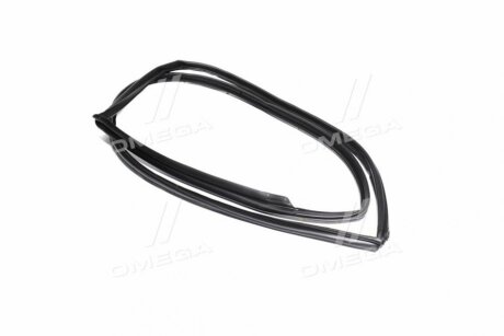 Ущільнювач двері GM 96460192