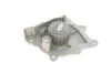 Помпа води Citroen C4-C8/Jumper/Peugeot 308/407/Ford Focus 2.0-2.2HDi/D/TDCi 06- (19z) (B/B)(8 лоп) GRAF PA1049 (фото 3)
