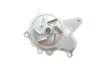 Помпа води Hyundai Tucson/Santa Fe/i30/Elantra/Kia Sportage/Cee\'d 2.0-2.2CRDi 05- (20z) (R/B)(6 лоп) GRAF PA1063 (фото 3)
