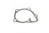 Помпа води Citroen C4/Mitsubishi Lancer VIII/Outlander/Peugeot 4007 1.8/2.0/2.4/4WD 08- (B/B)(6 лоп) GRAF PA1135 (фото 8)