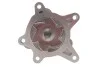 Помпа води Hyundai Accent/Elantra/i20/i30/i40/ix20/Tucson/Kia Ceed/Sportage 1.4/1.6 10- (R/B)(6 лоп) GRAF PA1136 (фото 3)