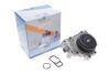Помпа води MB C-class (W204)/E-class (W212)/S-class (W221)/Vito (W447) OM651 08- (з корпусом/перемикач) GRAF PA1219 (фото 2)