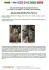 Помпа води Audi/Seat/Skoda/VW Crafter/Caddy/T6/Passat/Golf 1.6/2.0TDI 13- (R/B 4PT)(7 лоп)(з датч) GRAF PA1360A-8 (фото 2)