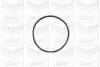 Помпа води Audi 50/80/VW Golf/Jetta/Passat/Polo 0.9-1.3 74-94 (26z) (B/B) (8 лоп) GRAF PA148 (фото 3)
