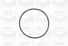 Помпа води Opel Astra F/Omega A/B/Vectra A/B 1.6/1.8i/2.0i 88-02 (25z) (B/B) (8лоп) GRAF PA577 (фото 3)