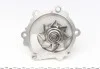 Помпа води Toyota Land Cruiser 2.4TD 90-93/Land Cruiser Prado 3.0D 02- (R/B) (8 лоп) GRAF PA767 (фото 7)