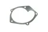 Помпа води Renault Kangoo/Megane/Scenic/Clio/Nissan Almera/Kubistar/Micra 1.5dCi 01- (B/B) (10 лоп) GRAF PA821 (фото 7)