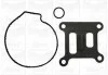 Помпа води Ford Transit VII 2.0DI/TDCi 00-06/Mondeo III 2.0/2.2TDCi 00-07 (B/B) (8 лоп.) (без корп.) GRAF PA839 (фото 2)