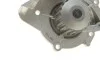 Помпа води Citroen C4-C8/Jumpy 2.0-2.2HDi/Fiat Scudo 2.0D/Ford Focus 2.0TDCI 01- (19z)(B/B)(8лоп) GRAF PA861 (фото 5)
