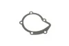 Помпа води Citroen C4-C8/Jumpy 2.0-2.2HDi/Fiat Scudo 2.0D/Ford Focus 2.0TDCI 01- (19z)(B/B)(8лоп) GRAF PA861 (фото 10)