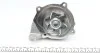 Помпа води Mazda 3/323/5/6/626/Premacy 2.0TD/DI/DITD/CD 98-10 (19z) (R/B) (6 лоп) GRAF PA973 (фото 7)