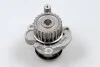 Помпа води VW Golf V/VI/Audi A4/A6 2.0 TFSI 04-12 HEPU P587 (фото 2)