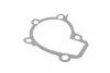 Помпа води Hyundai Elantra/Tucson/i30/Matrix/Kia Sportage/Cee\'d/Cerato 1.8/2.0/2.0 16V/CVVT 00- HEPU P7971 (фото 7)