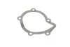 Помпа води Peugeot 205/305/306/309/405 1.7D/1.8TD/XDT/1.9D/TD/SRDT/STD 86-02 HEPU P815 (фото 8)