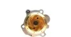 Комплект ГРМ + помпа Seat Ibiza 1.9 TDI/VW Polo 1.4/1.9 TDI 01-09 (120x30) HEPU PK05540 (фото 7)