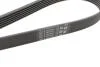 Комплект ременя генератора + помпа Audi A1/A3/Seat Ibiza/Skoda Octavia 1.4/1.6 02- HEPU PK05810 (фото 3)