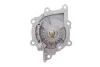 Комплект ГРМ + помпа Citroen C5/C6/C8/Fiat/Ford/Peugeot 2.2HDI 06- HEPU PK08070 (фото 11)