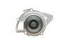 Комплект ГРМ + помпа Citroen Jumpy 2.0HDi/Fiat Scudo 2.0D Multijet 10- (116x25) HEPU PK09020 (фото 5)