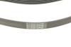 Комплект ГРМ + помпа Citroen C1/C3/C4/Peugeot 2008/208/301 1.2 12-(118x16)(-AC) HEPU PK09081 (фото 8)