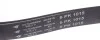 Ремінь генератора Ford Escort 1.4/MB OM601/602 -96 (6PK1015) HUTCHINSON 1015 K 6 (фото 4)