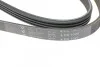 Ремінь генератора Suzuki Grand Vitara 2.5 V6/2.7 4x4 98-03 HUTCHINSON 1025 K 4 (фото 5)