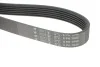 Ремінь генератора VW Caddy/Golf/Passat/T4 1.9 D/TD 96- (6PK1042) HUTCHINSON 1042 K 6 (фото 2)