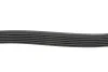 Ремінь генератора Fiat Ducato 2.0 94- /VW Caddy 1.4 04- (6PK1100) HUTCHINSON 1100 K 6 (фото 3)