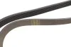 Ремінь генератора Renault Kangoo 1.4i 98-/ 1.6i 02- (5PK1110) HUTCHINSON 1110 K 5 (фото 4)