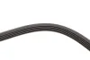 Ремінь генератора Renault Kangoo 1.4i 98-/ 1.6i 02- (5PK1110) HUTCHINSON 1110 K 5 (фото 5)
