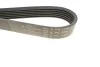 Ремінь генератора Citroen Berlingo/Fiat Ducato 1.8/1.9D /Citroen Jumper 3.0HDI 96- (6PK1160) HUTCHINSON 1160 K 6 (фото 4)