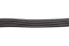 Ремінь генератора Fiat Doblo 1.3D Multijet/Ducato 2.0JTD 01-/VW Caddy 1.4/1.6 96- (6PK1180) HUTCHINSON 1180 K 6 (фото 3)